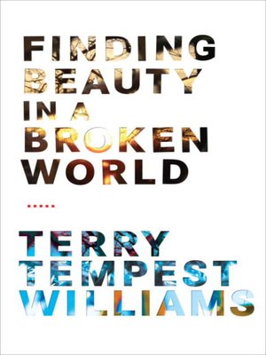 cover image of Finding Beauty in a Broken World